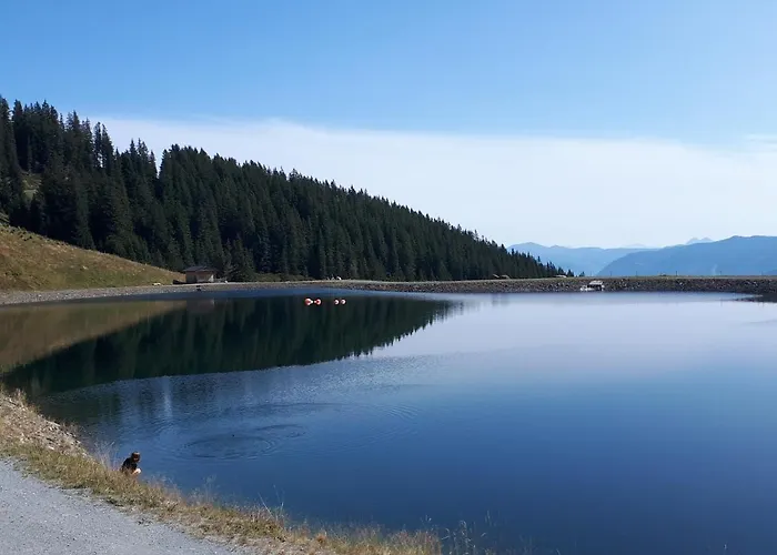 Marten Appartamento Saalbach-Hinterglemm